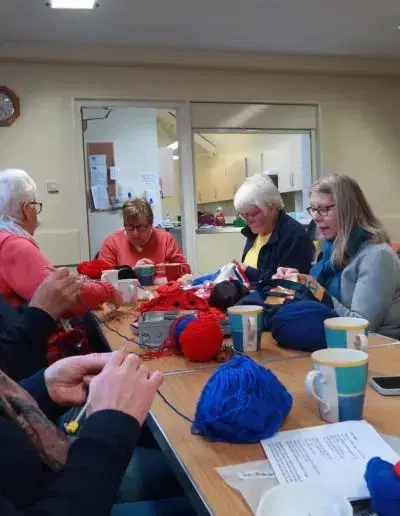 Ripon Community Poppy Project Knitting