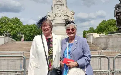 Poppies at the Palace!