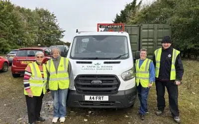 The poppy displays have been collected