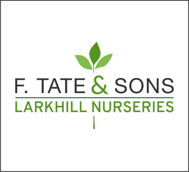 F Tates & Sons